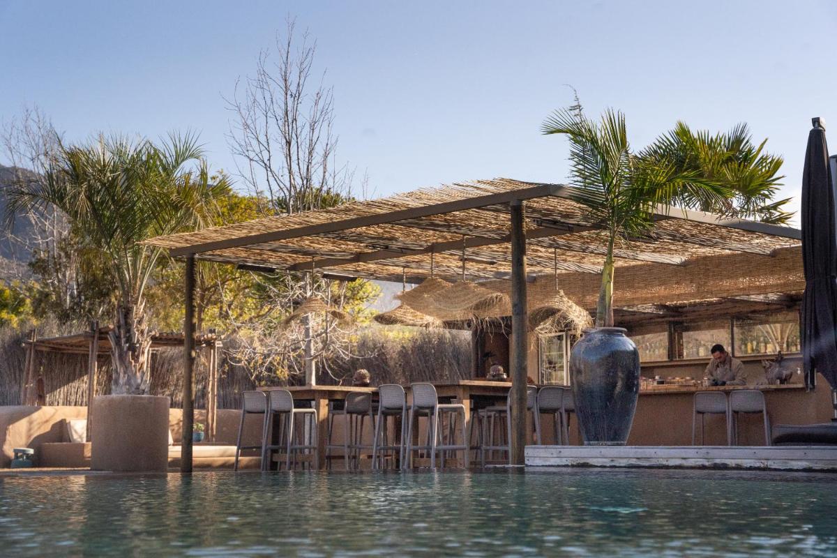 Image 4 of CasaMolle