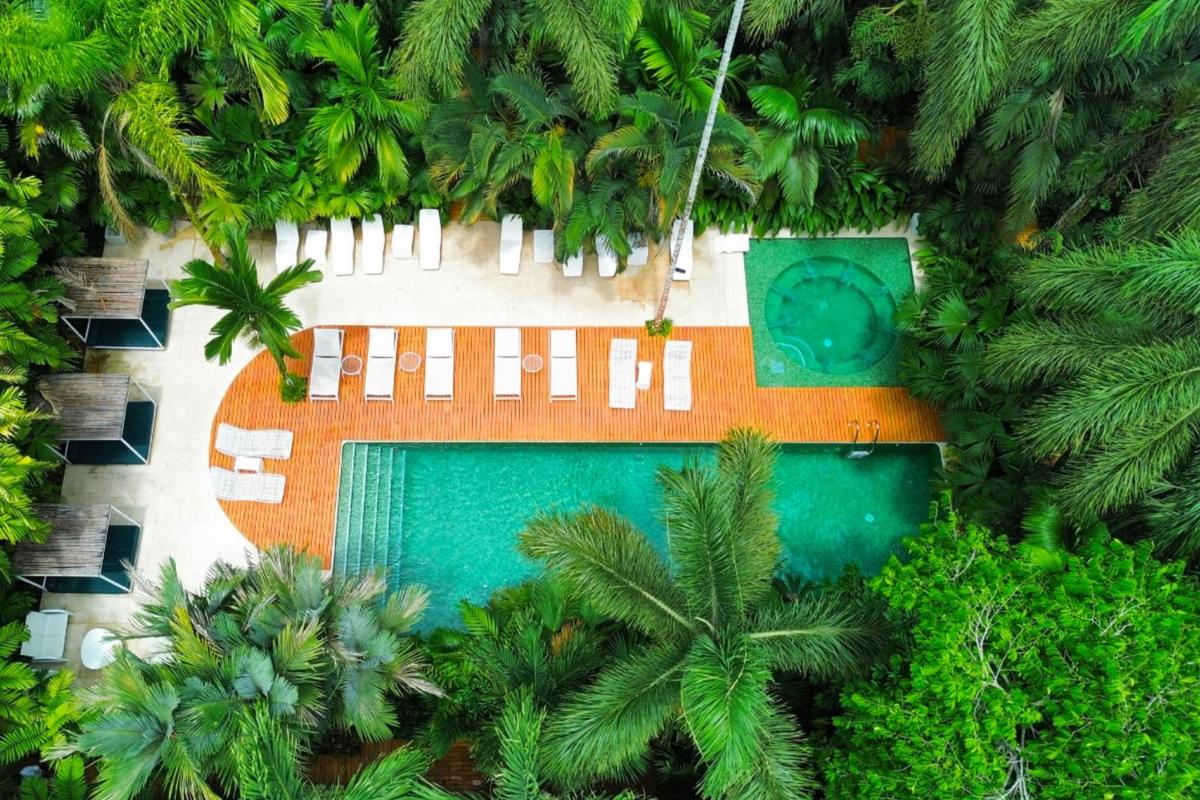 Image 5 of Le Cameleon Hotel