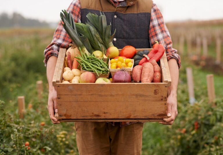 Farm-to-Table & Field-to-Fork: Gastronomic Hotels Sourcing from Local Farms