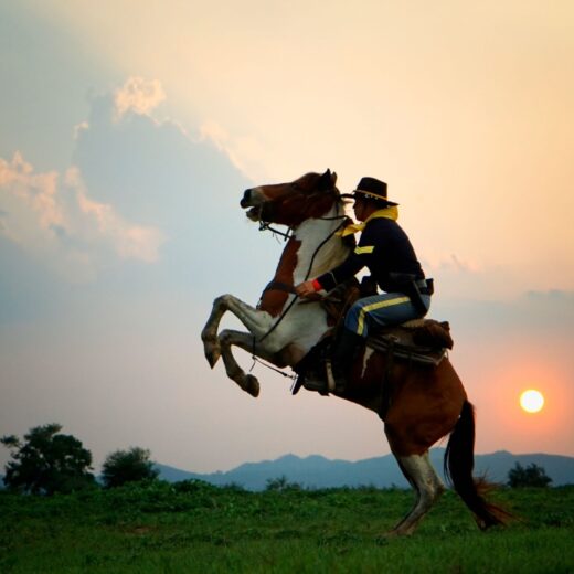 The Sanctuary Stables 8 Luxury Hotels Where Horses Heal the Soul