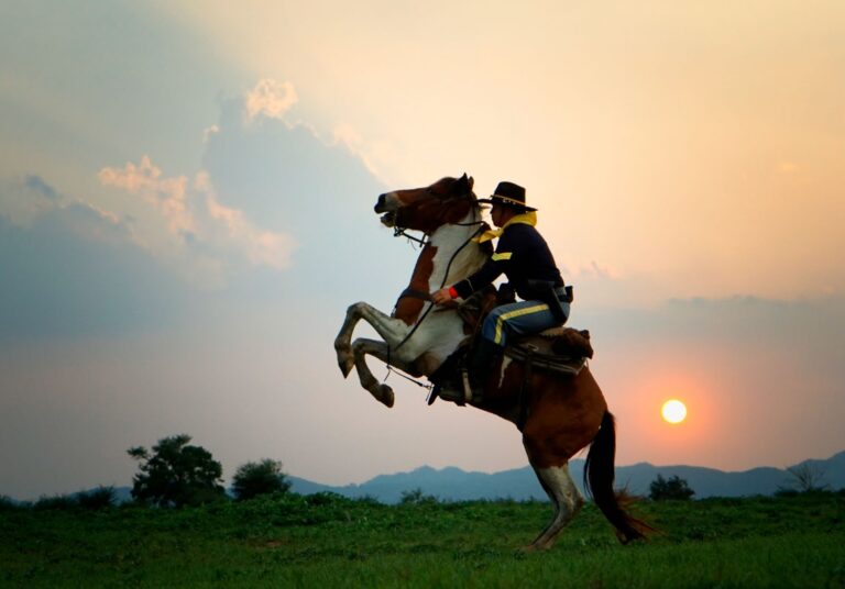 The Sanctuary Stables: 8 Luxury Hotels Where Horses Heal the Soul